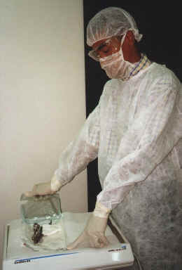 abrepac.jpg (70870 bytes)