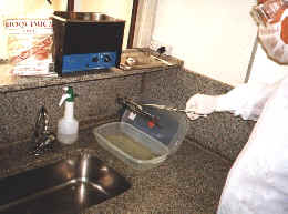 gluta.jpg (55874 bytes)