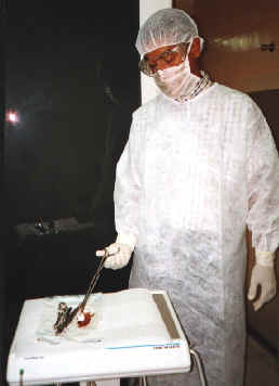 pinca.jpg (81711 bytes)