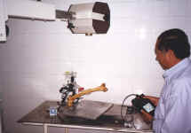 osanet_6.jpg (63218 bytes)